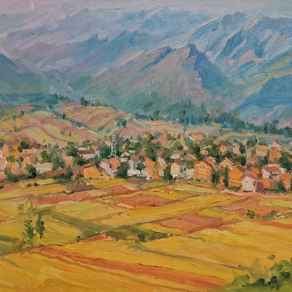 王耀辉-蓝田油菜田