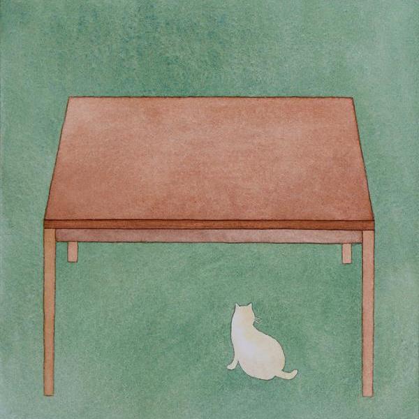 赵家伟-桌子下的猫
