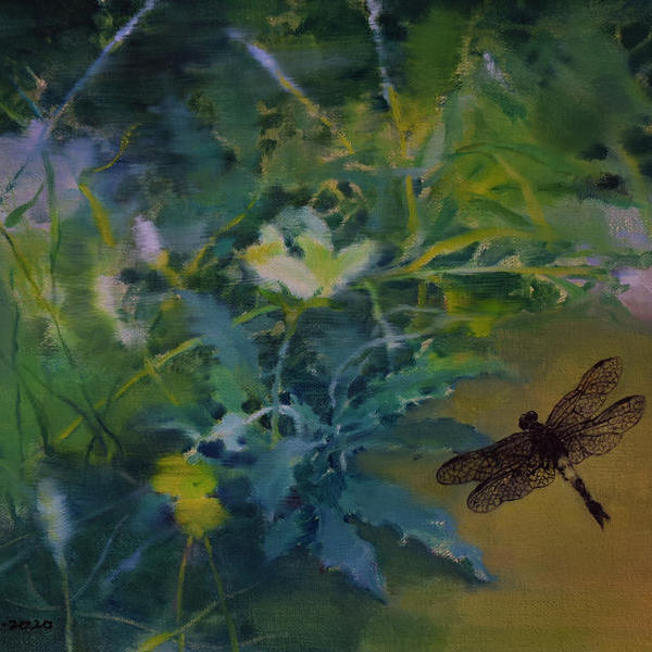 马忠强-《黑蜻蜓》/30x40cm/布面油画/2020