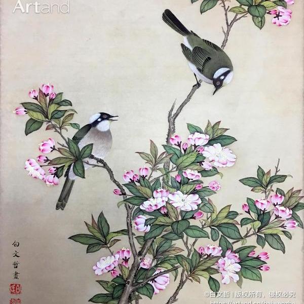 白文哲-海棠白头翁