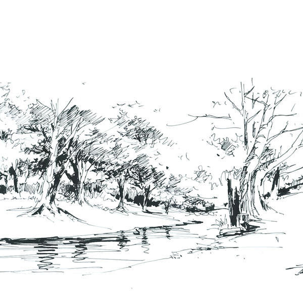 黄劲勇-森林中的小溪