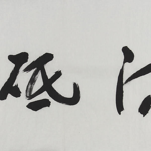 陈光荣-陈坚草书横披