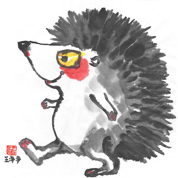 王净净-刺猬