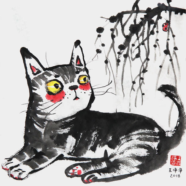 王净净-水墨动物插画-猫