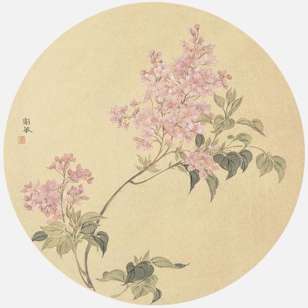 国画丁香花的画法图片